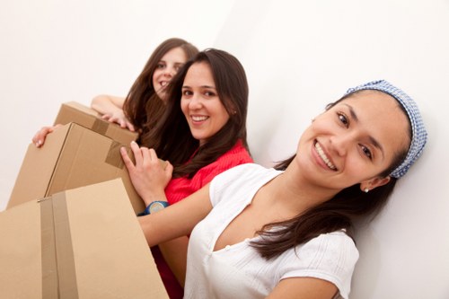 Careful loading of boxes and furniture into a van