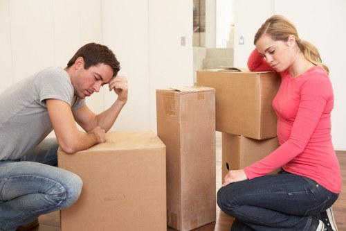 Careful loading support for flat moves in Berrylands