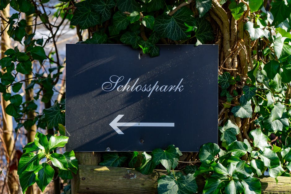 A rectangular black metal sign attached to a wooden post, displaying the word 'Schlosspark' in elegant white script font and a white left-pointing arrow. The sign is surrounded by dense green ivy leaves with glossy textures, some climbing around the edges and others hanging nearby. The background includes a mix of sunlight and shadow, highlighting the vibrant foliage and the smooth surface of the sign. This outdoor signage indicates the direction to a park, and the scene is indicative of a property or outdoor area involved in a home relocation or moving process, supported by the presence of greenery and natural lighting. The image exemplifies the clarity and attention to detail necessary for accurate visual descriptions in professional removals and moving services, as provided by Man with Van Berrylands, aligned with content about house removals and logistics.