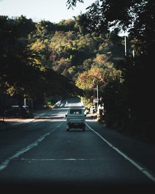 A narrow residential street in Berrylands during daylight hours, with a small white van parked behind a vehicle in the distance, surrounded by lush green trees and foliage on both sides. The road surf