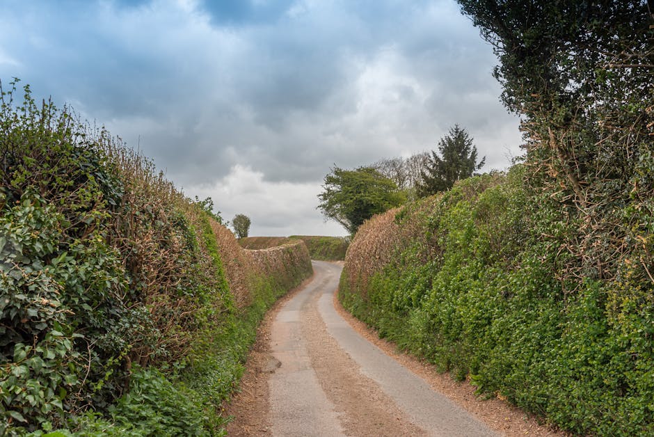 A narrow residential street in Berrylands during daylight hours, with a small white van parked behind a vehicle in the distance, surrounded by lush green trees and foliage on both sides. The road surf